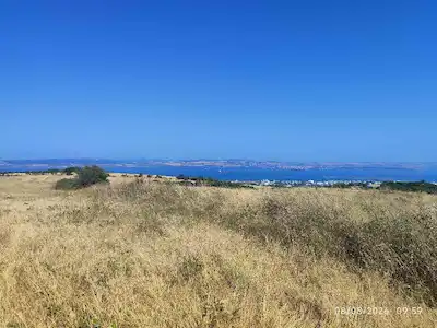 LAPSEKI / ÇARDAK'TA BOĞAZ VE 1915 ÇANAKKALE KÖPRÜSÜ MANZARALI 11.110 M² TARLA