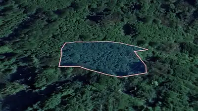 GİRESUN TİREBOLU'DA 2123 M² SATILIK FINDIK BAHÇESİ