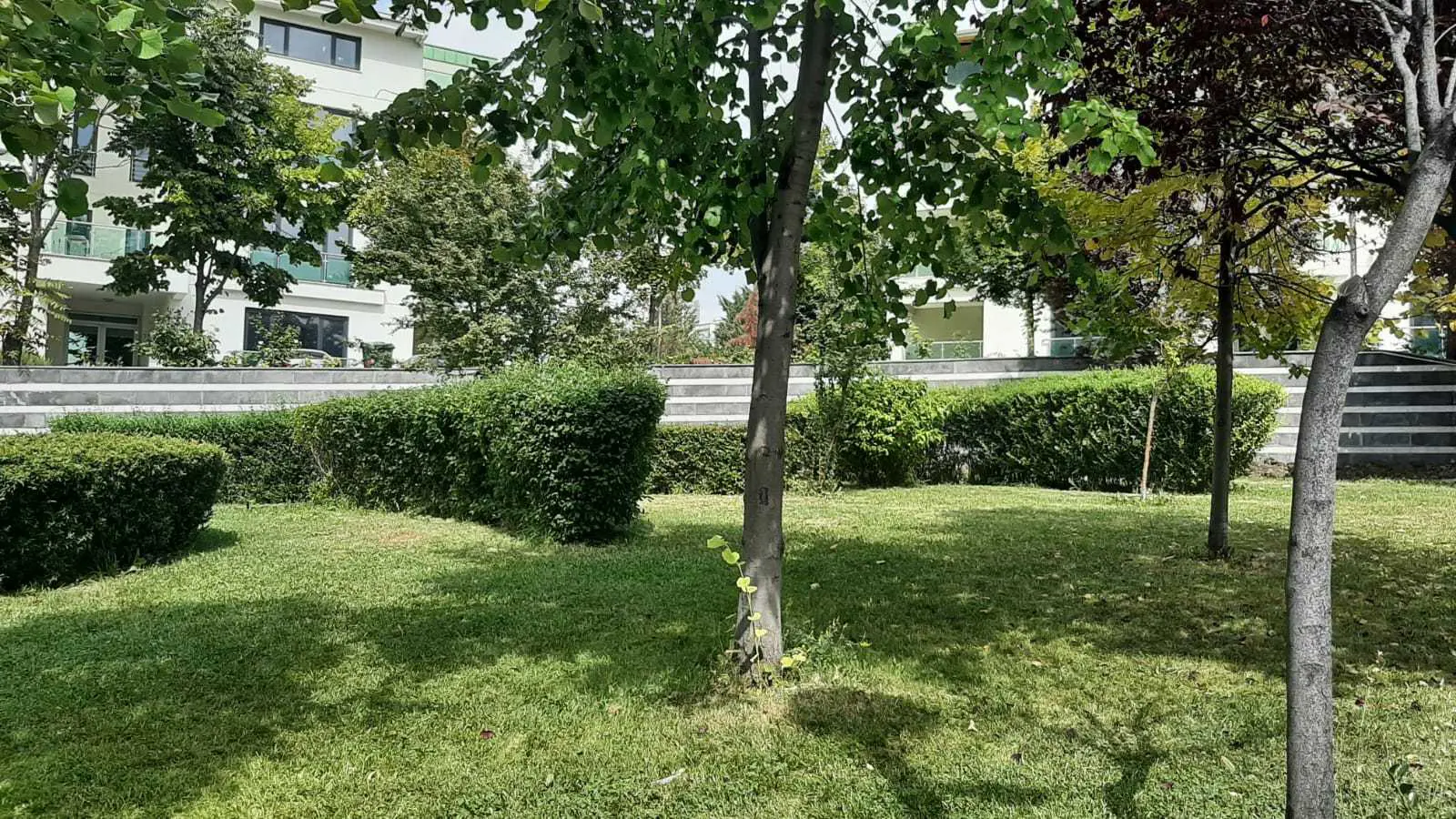 Property image 48