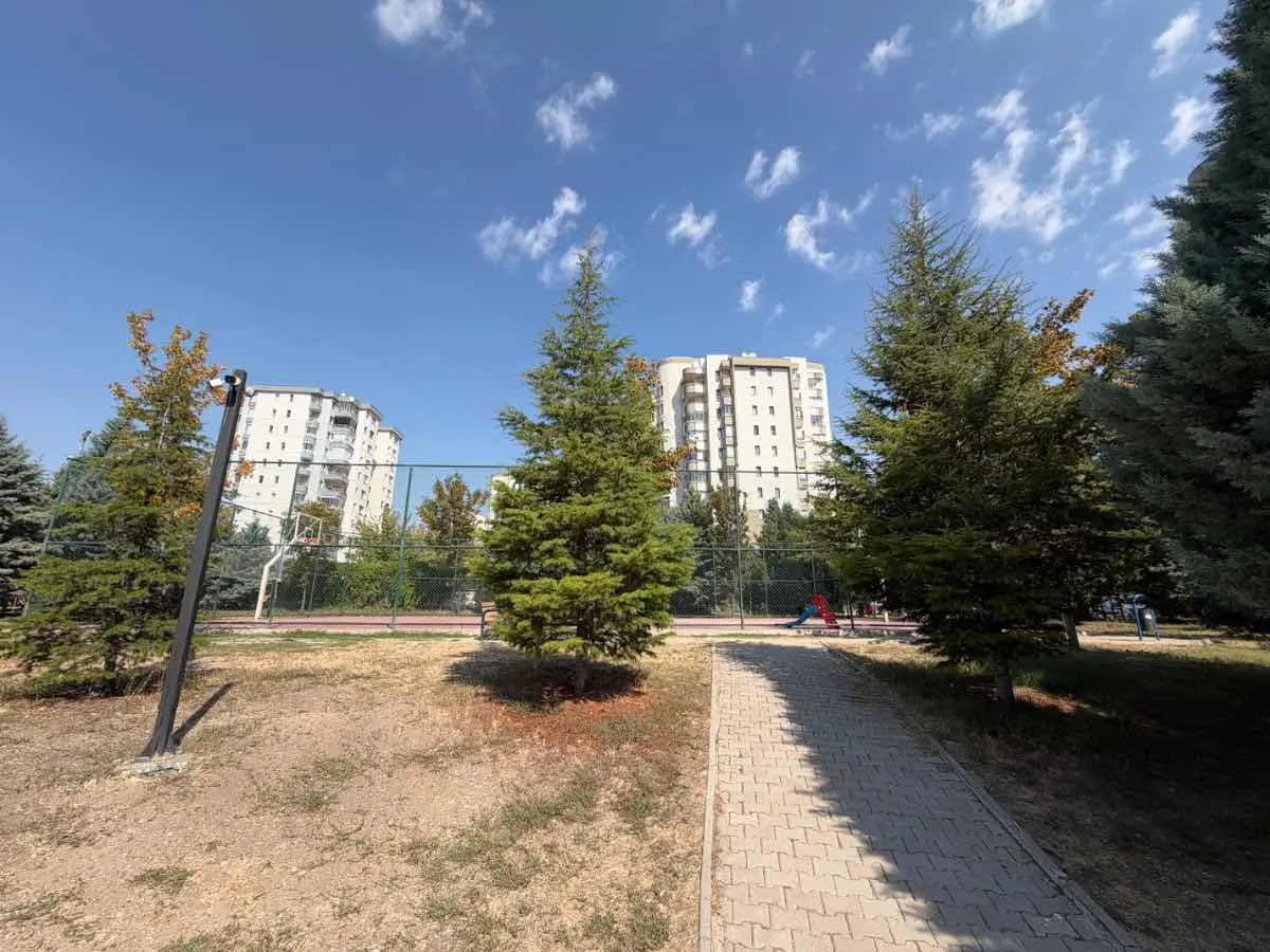 Property image 39