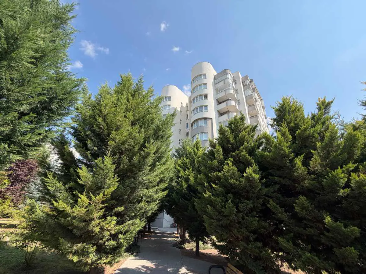 Property image 37