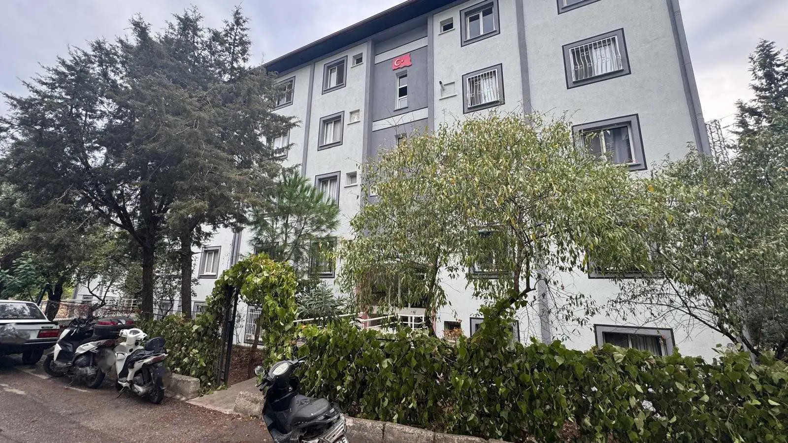 Property image 16