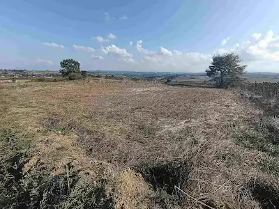 SAKARYA ADAPAZARI KIŞLADA KONUM AVANTAJLI SATILIK 2556 M2 TARLA