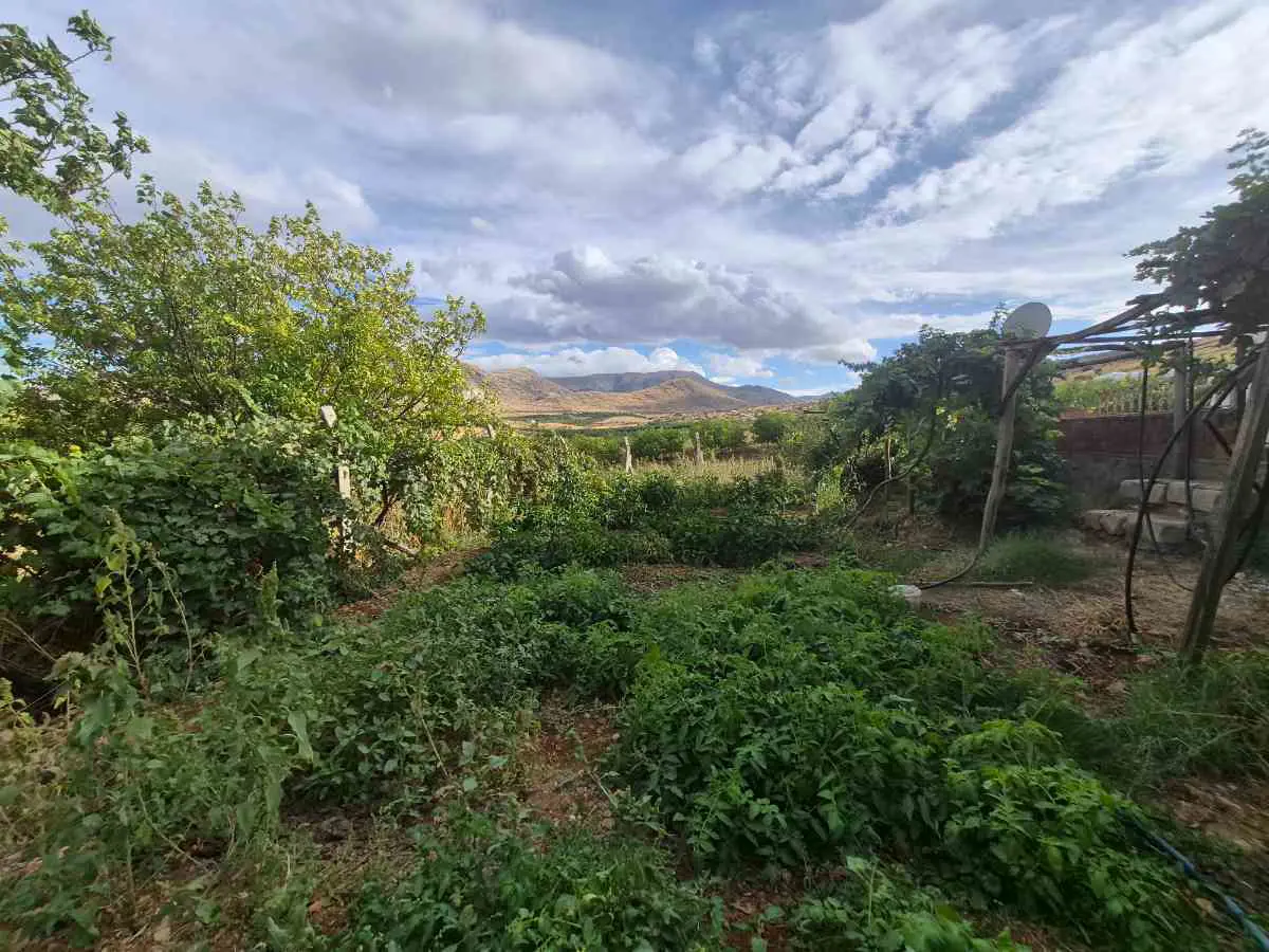 Property image 18