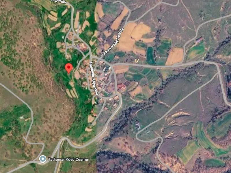 Property image 6