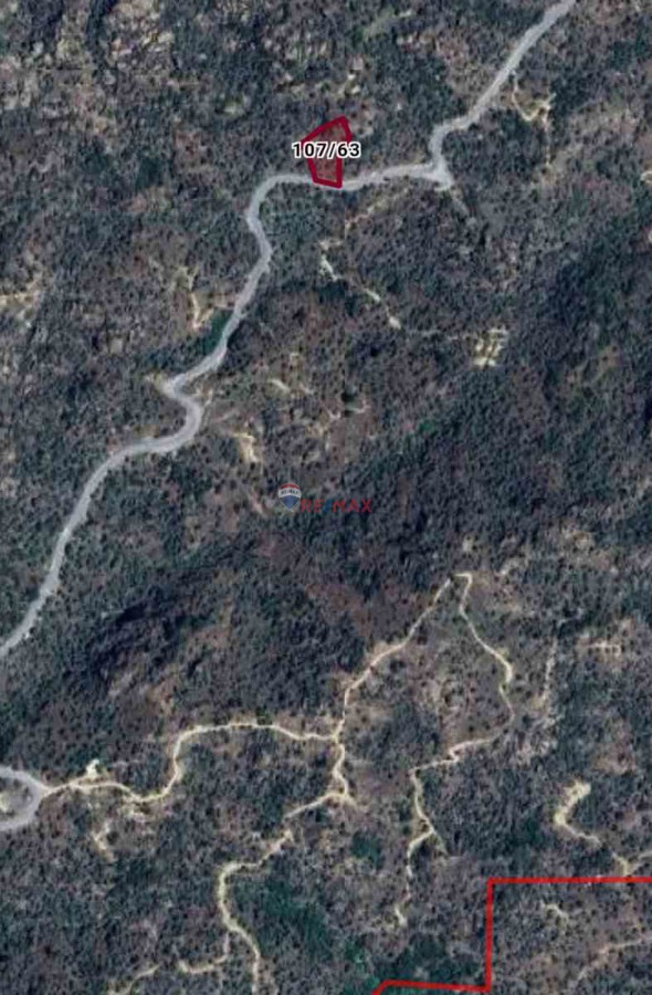 AYDIN KARPUZLU KOĞUK MAHALLESINDE SATILIK ZEYTINLIK