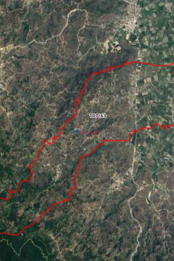 AYDIN KARPUZLU KOĞUK MAHALLESINDE SATILIK ZEYTINLIK