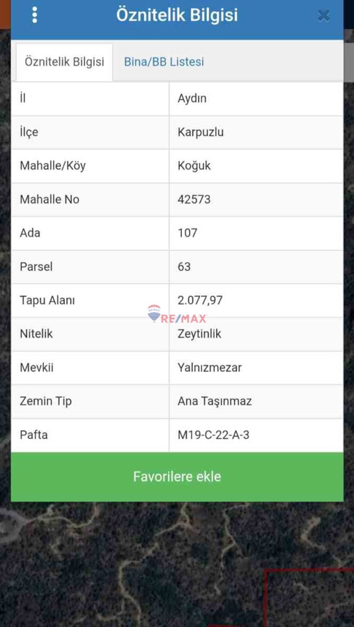 AYDIN KARPUZLU KOĞUK MAHALLESINDE SATILIK ZEYTINLIK