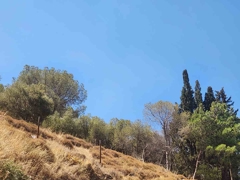 İZMİR MENEMEN 29 EKİM MAHALLESİNDE SIFIR 2+1 ÖNÜ AÇIK DAİRE