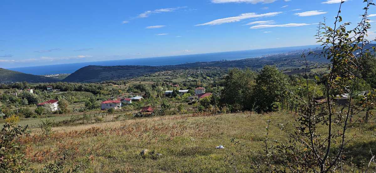 ATAKUM ÇAMLIYAZI’NDA FULL DENİZ MANZARALI 1363 M² YATIRIMLIK TARLA