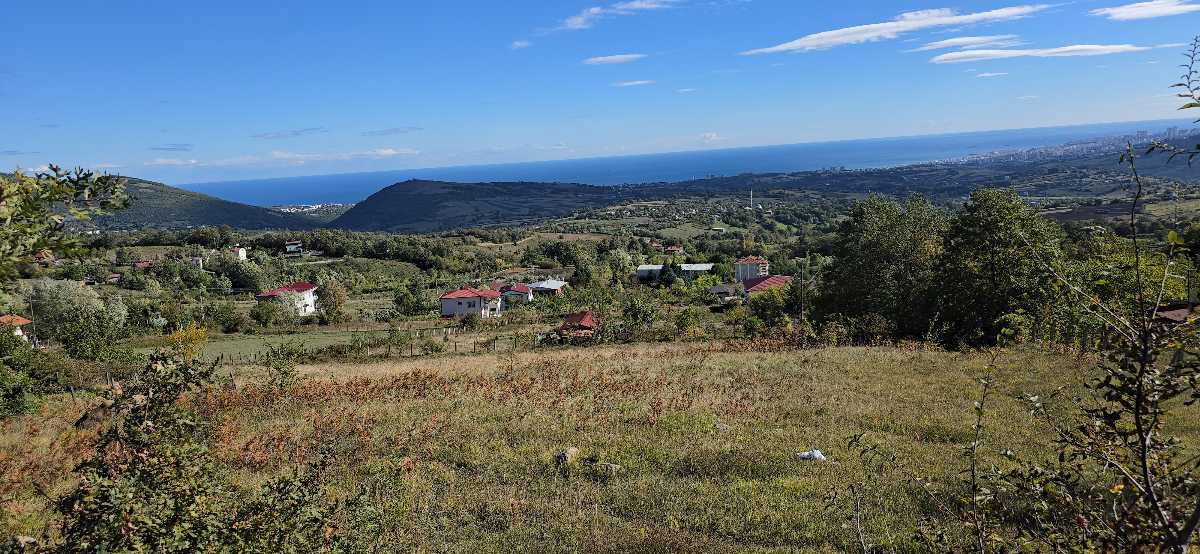 ATAKUM ÇAMLIYAZI’NDA FULL DENİZ MANZARALI 1363 M² YATIRIMLIK TARLA