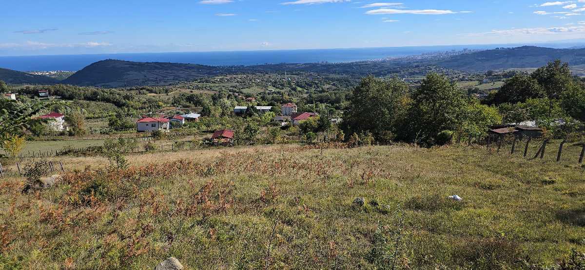 ATAKUM ÇAMLIYAZI’NDA FULL DENİZ MANZARALI 1363 M² YATIRIMLIK TARLA