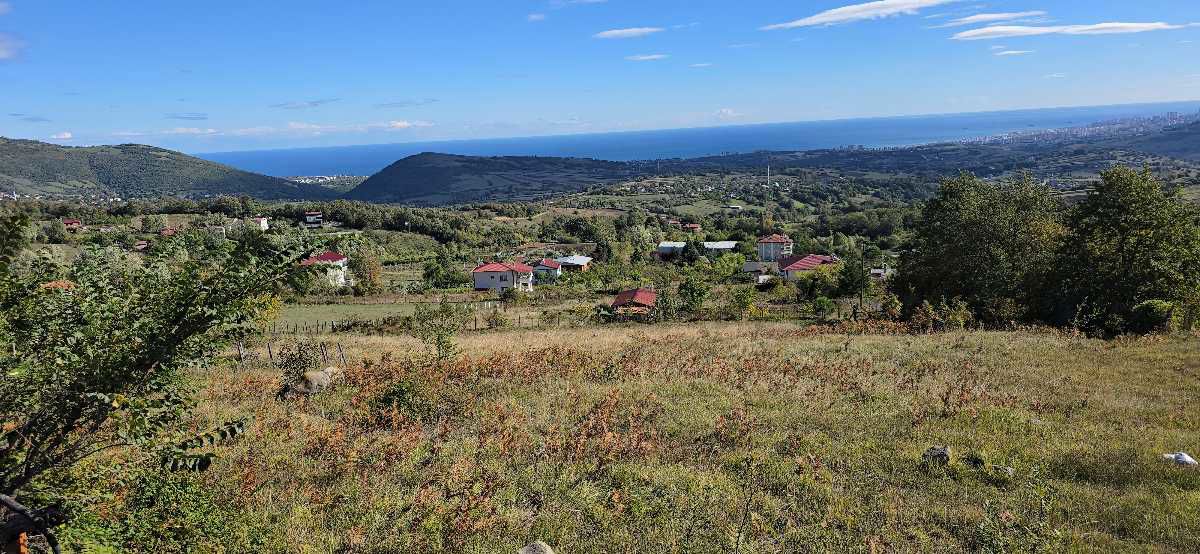 ATAKUM ÇAMLIYAZI’NDA FULL DENİZ MANZARALI 1363 M² YATIRIMLIK TARLA