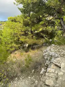 KAŞ KALKAN İSLAMLAR’DA 3562 M2 DOĞA İÇİNDE SATILIK YATIRIMLIK TARLA