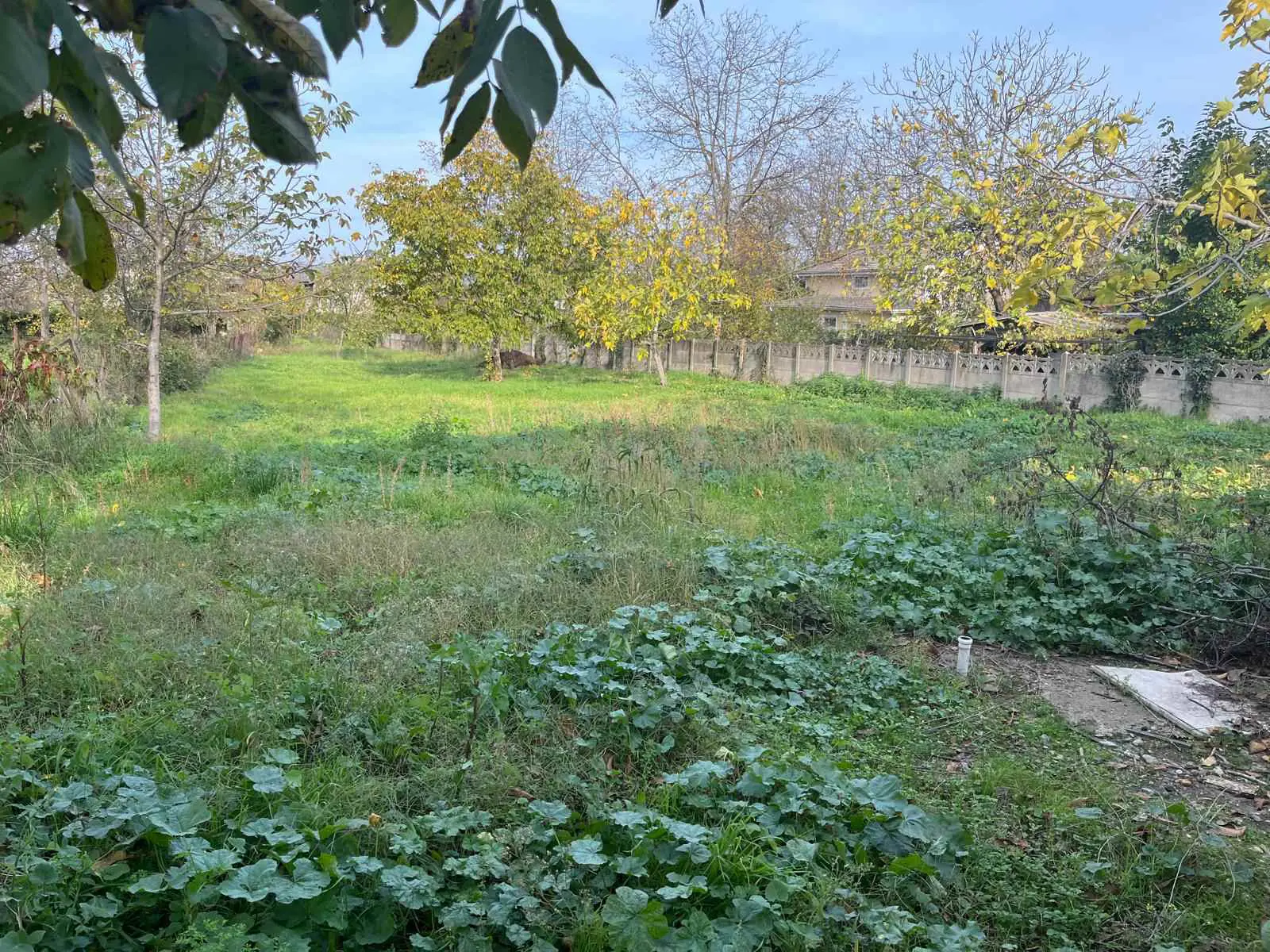 Property image 21