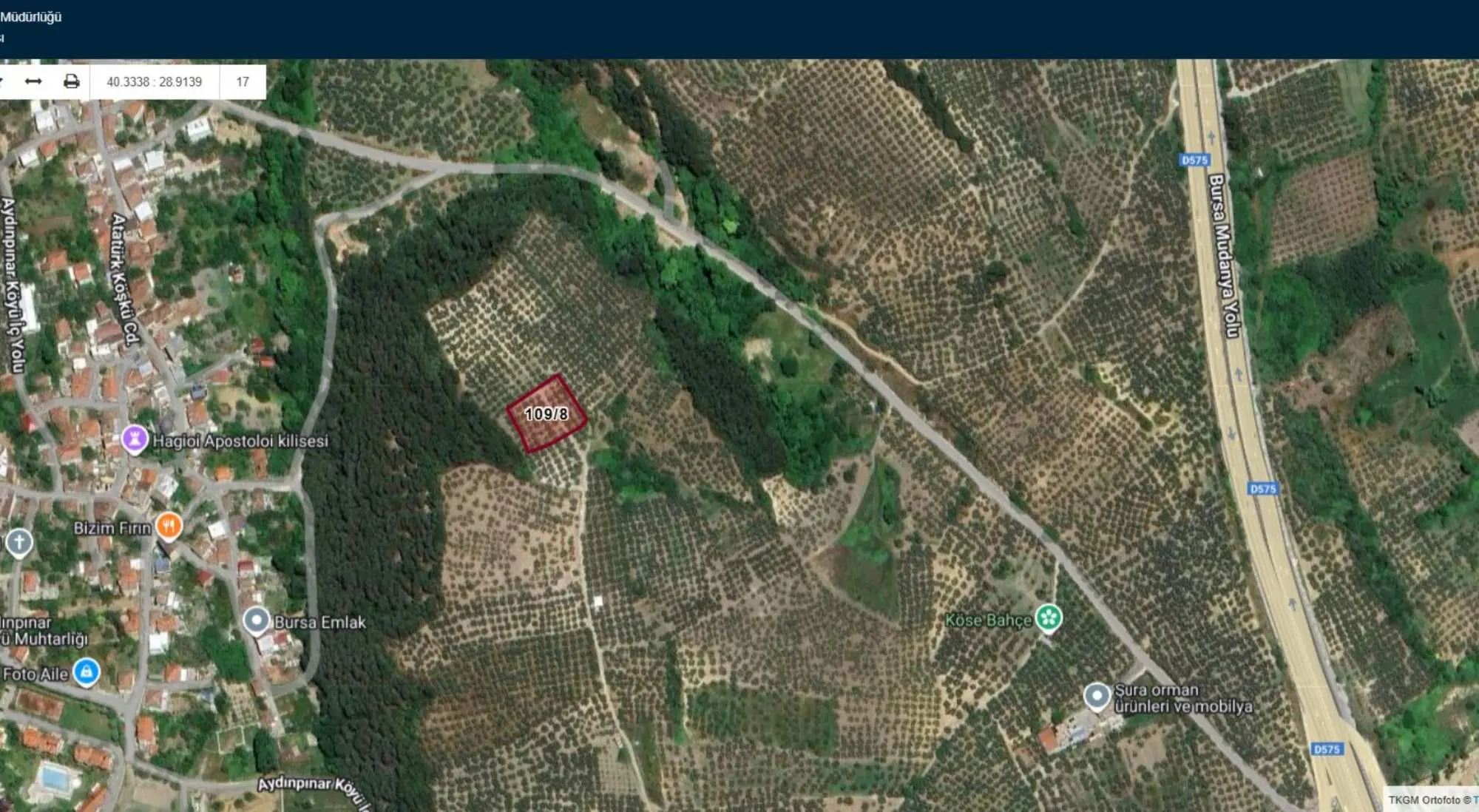 Property image 8