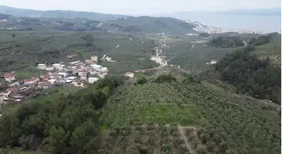  REMAX BEYAZ MUDANYA AYDINPINAR’DA  2064 M2 DENİZ MANZARALI TEK TAPU ZEYTİNLİK
