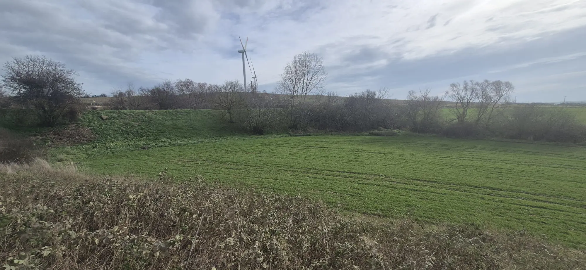 Property image 22