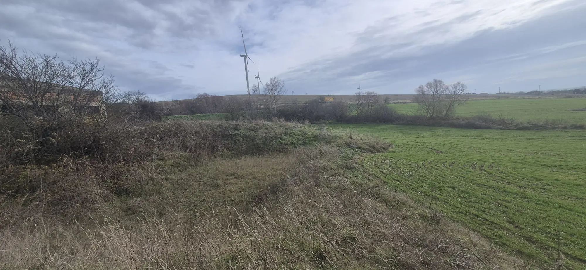Property image 17