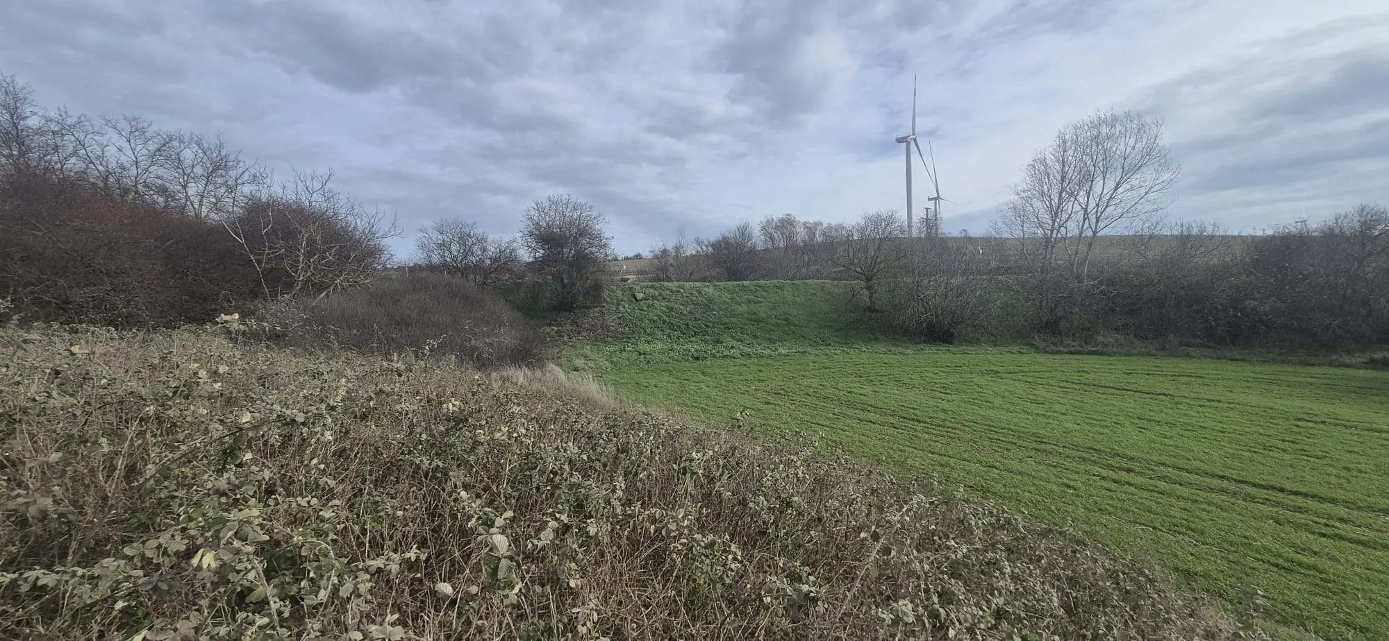 Property image 21