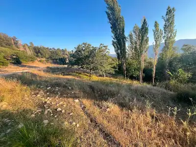 ANTALYA KAŞ ÇAVDIR’DA 4.943 M² YOLA CEPHELİ TARLA