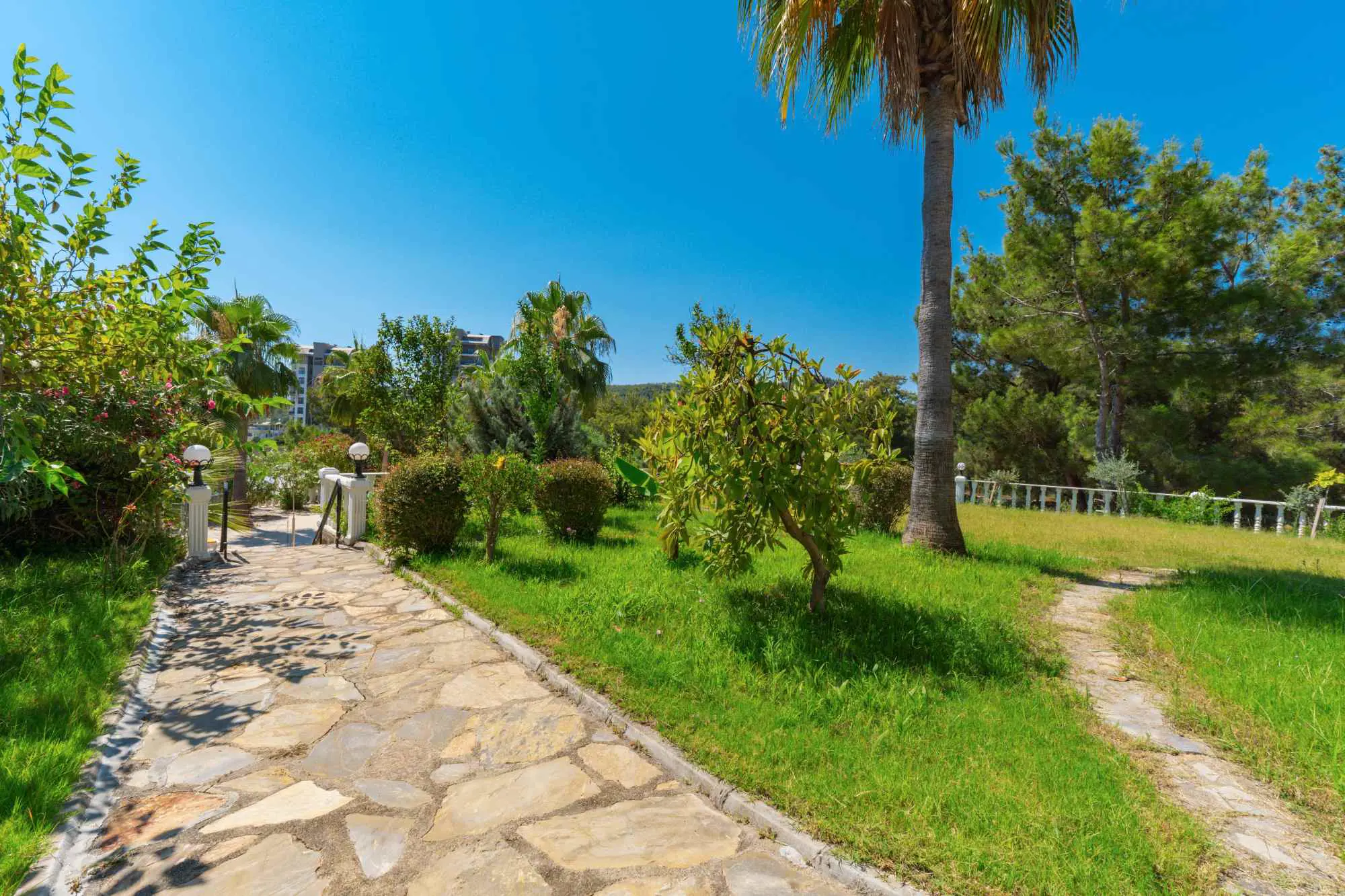 Property image 50