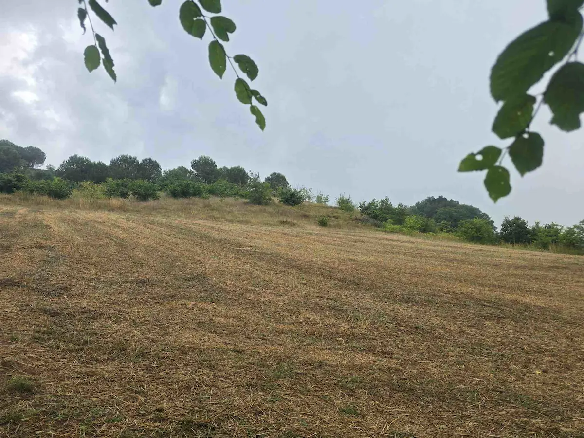 İZMİT BALÖREN MAH YOLA CEPHE SATILIK 11227 M² TARLA