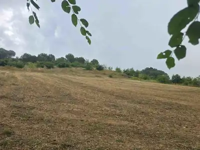 İZMİT BALÖREN MAH YOLA CEPHE SATILIK 11227 M² TARLA