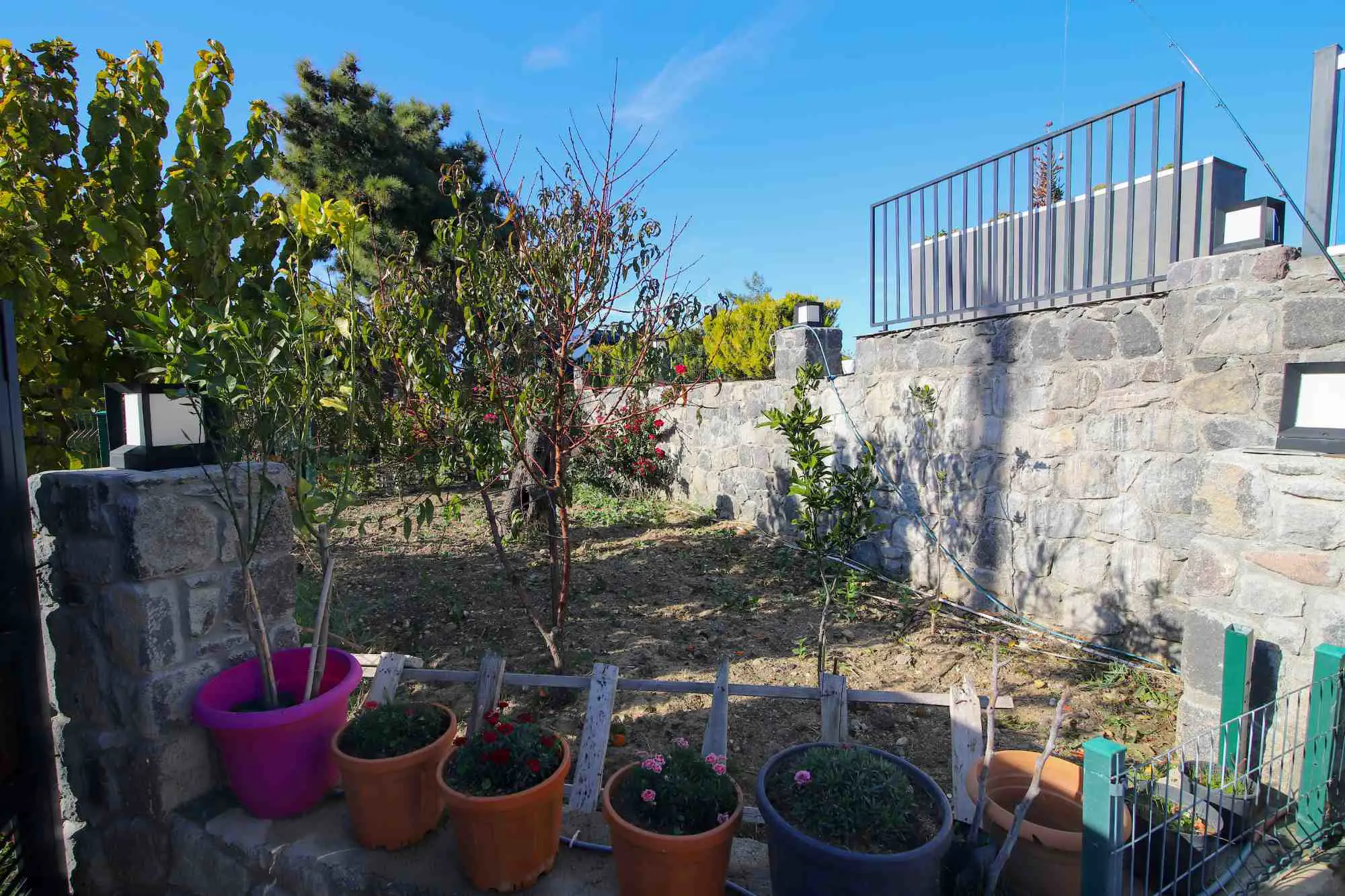 Property image 62