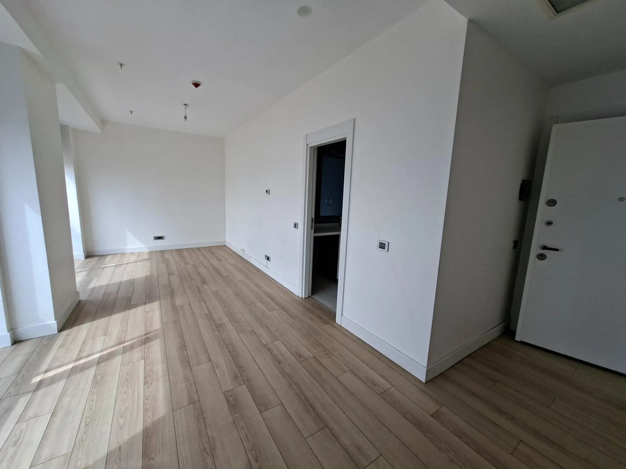 Property image 53
