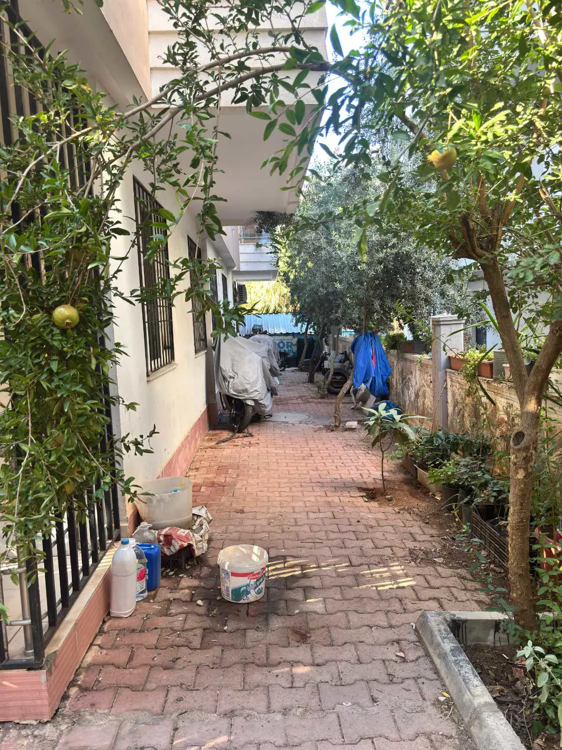 Property image 25