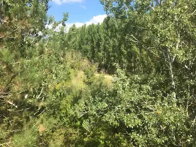 REMAXÇAKRA ÖMER ONAYCI'DAN SAKARYA'DA YOLA CEPHE MÜSTAKIL BAHÇE