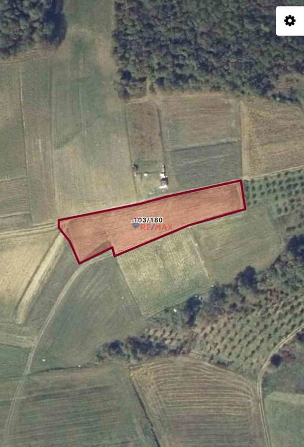 REMAX ÇARŞI'DAN SARIGAZİ KÖYÜ'NDE 2506 M² FIRSAT TARLA