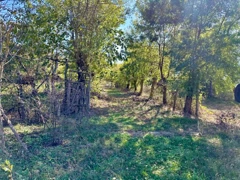 KOCAELİ ,KÖRFEZ, KALBURCU KÖYÜNDE , ALT YAPISI TAM ÇİFTLİK