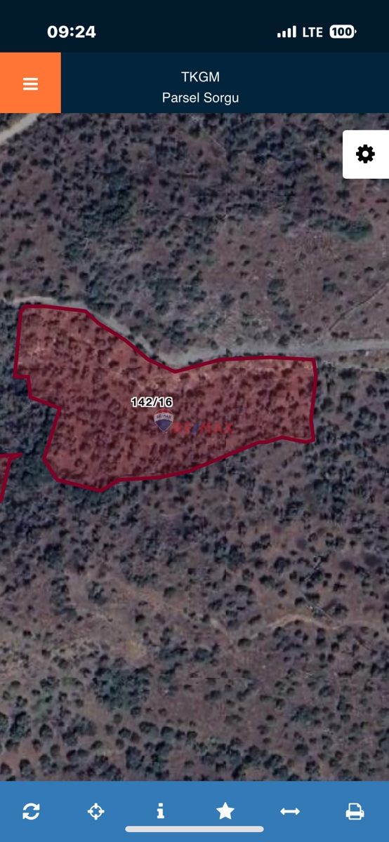 MİLAS BAFA’DA SATILIK YATIRIMLIK ZEYTİNLİK