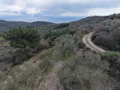 ÇANAKKALE AYVACIK KAYALAR FIRSAT SATILIK DENİZ MANZARALI ZEYTİNLİK