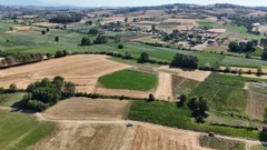KANDIRA ALEFLİ YOLA CEPHE 3098 M² TARLA