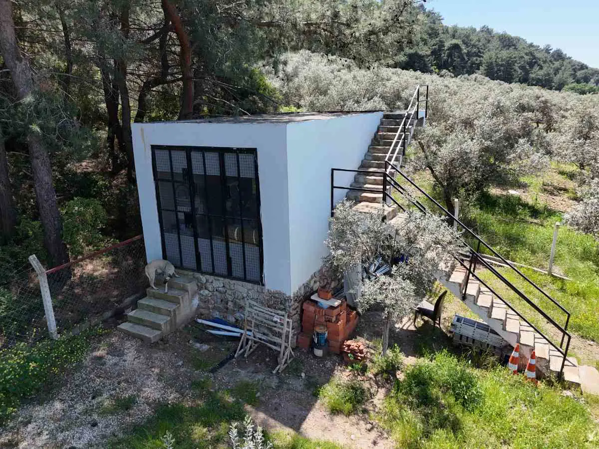 Property image 26