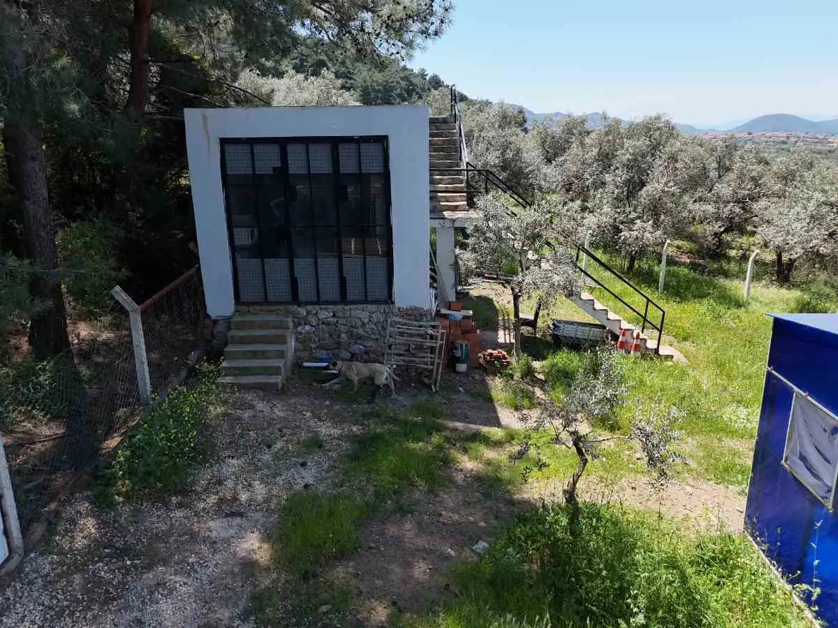 Property image 25