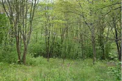 AĞVA KURFALLI'DA MÜSTAKİL TAPULU VE VİLLA İMARLI PARSEL