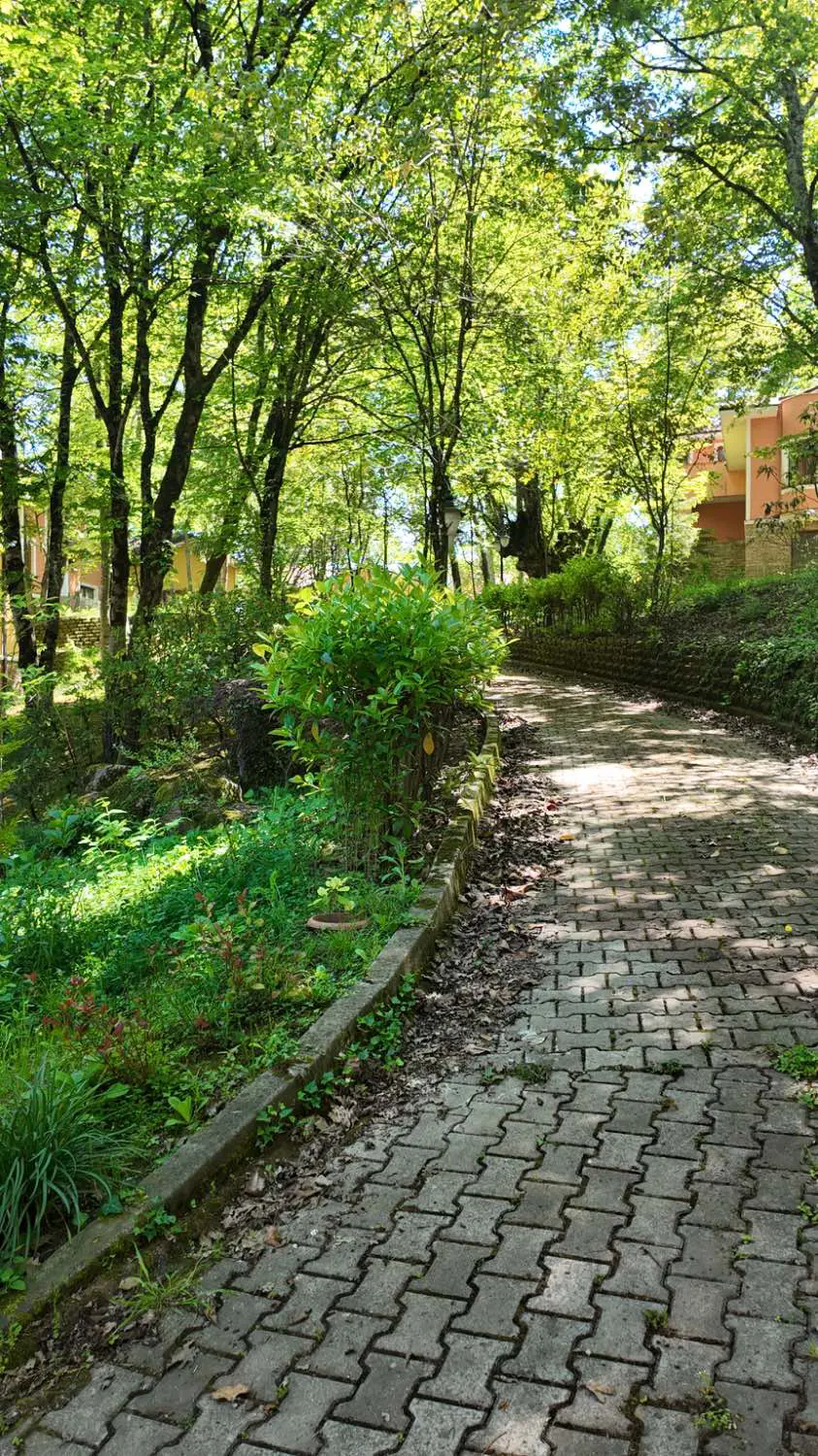Property image 29