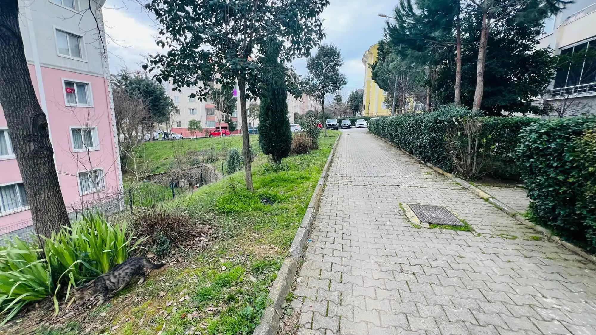 Property image 26
