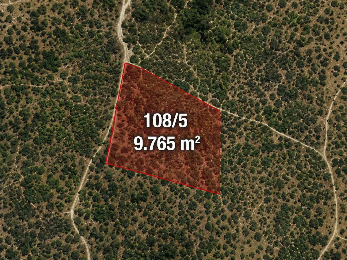 SPİL DAĞI ETEKLERİNDE, BEŞPINAR'DA 9.765 M² BÜYÜKLÜĞÜNDE KİRAZ BAHÇESİ VE TARLA