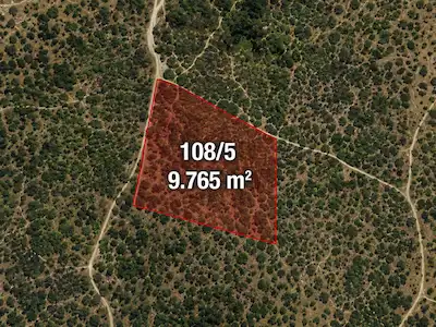 SPİL DAĞI ETEKLERİNDE, BEŞPINAR'DA 9.765 M² BÜYÜKLÜĞÜNDE KİRAZ BAHÇESİ VE TARLA