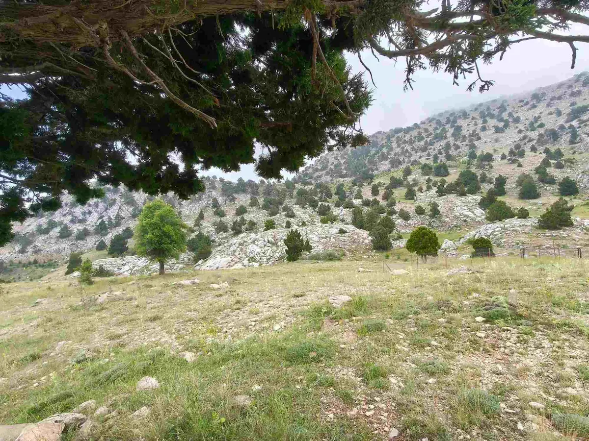 KONYAALTI ÇAĞLARCA’DA SATILIK VİLLA İMARLI KÖŞE PARSEL