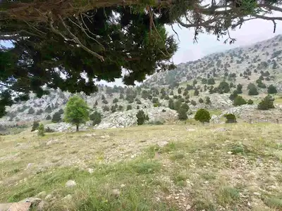 KONYAALTI ÇAĞLARCA’DA SATILIK VİLLA İMARLI KÖŞE PARSEL