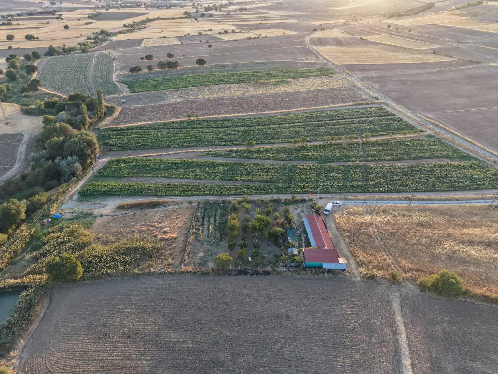 Property image 18