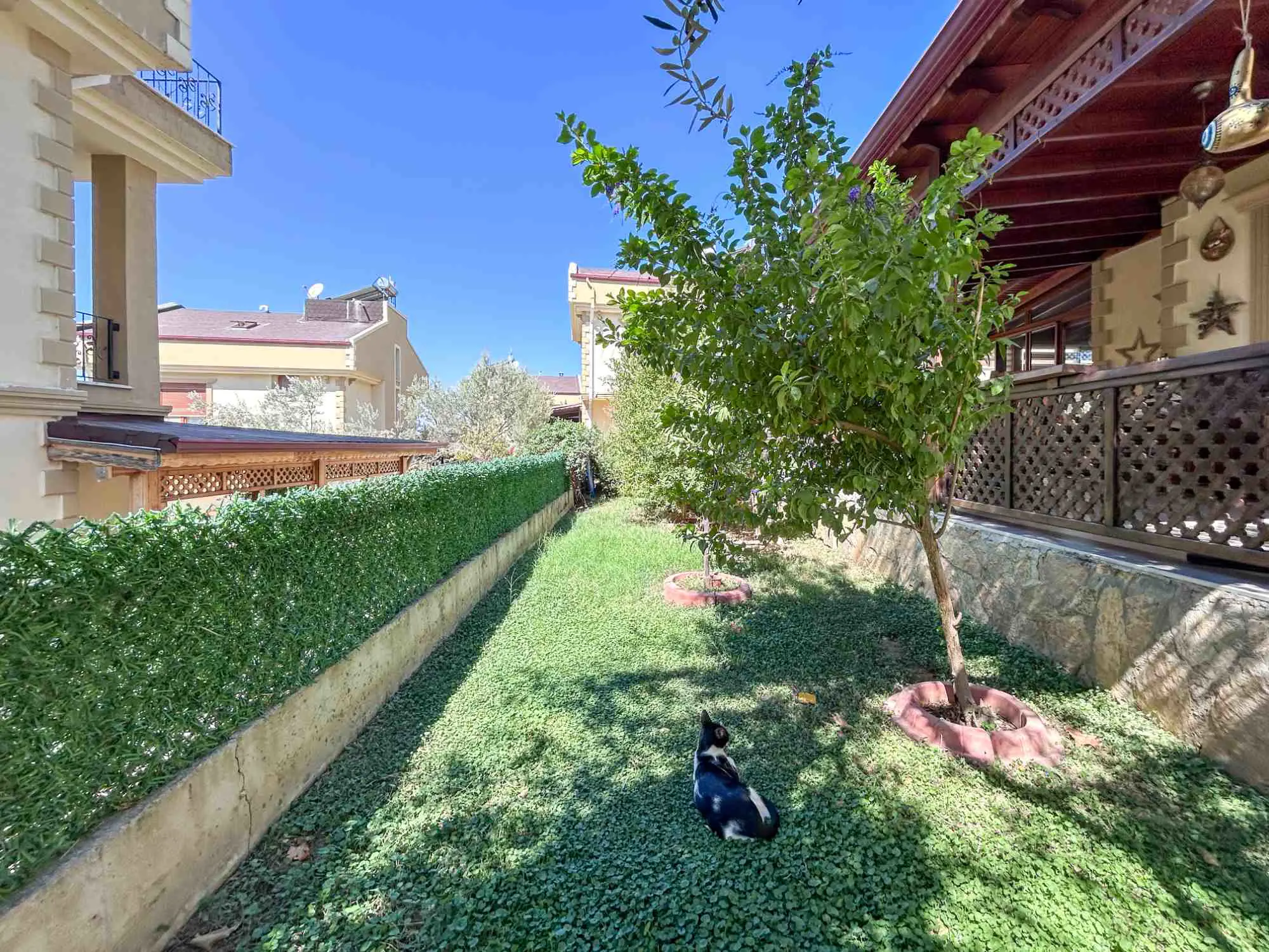 Property image 22