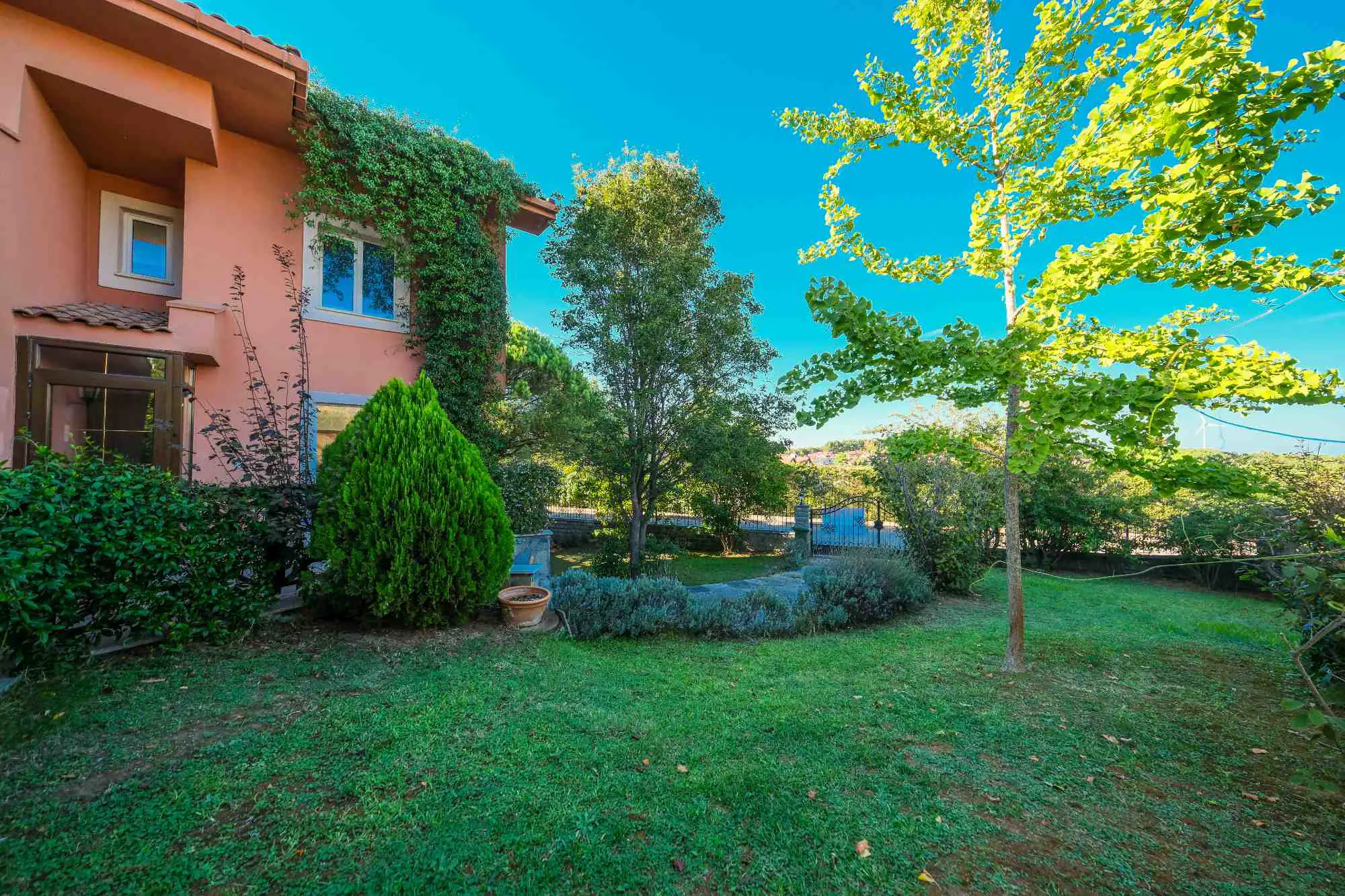 Property image 89