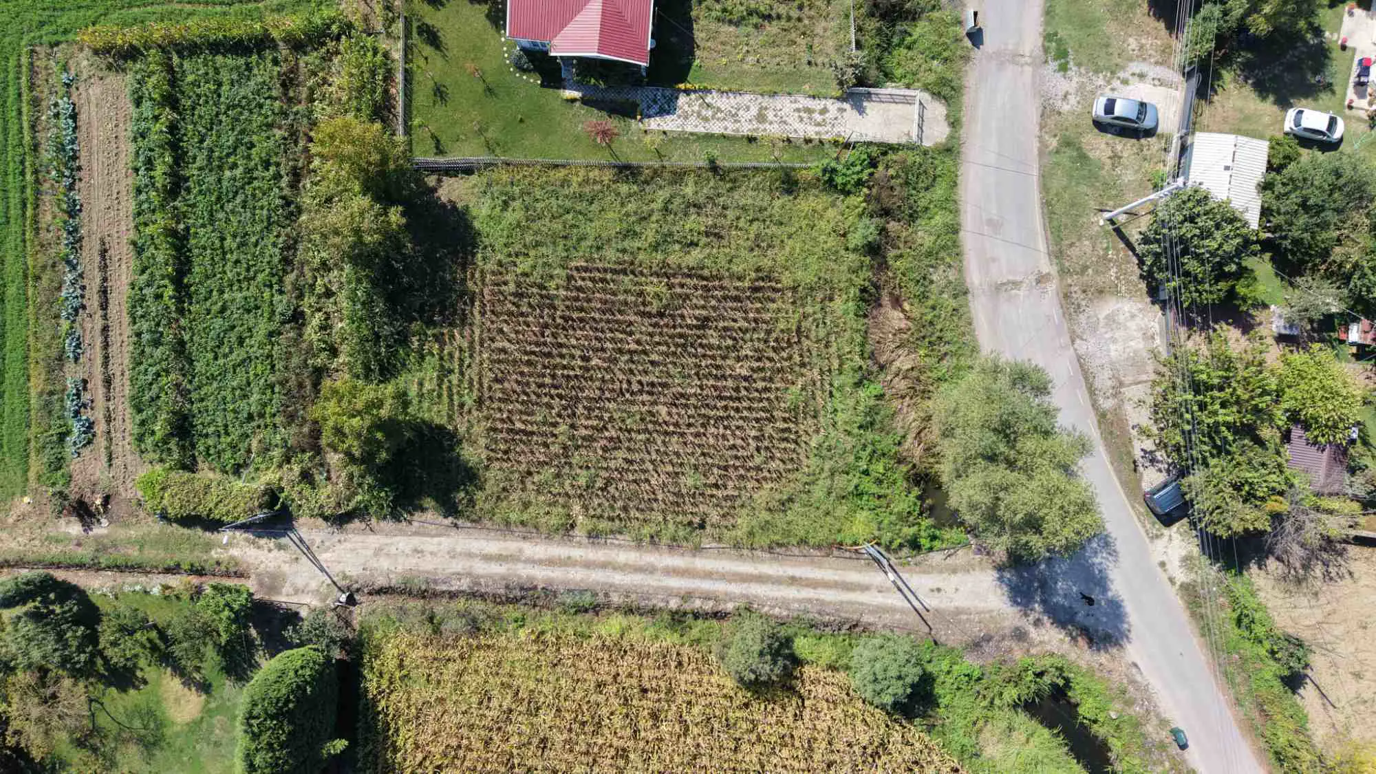 Property image 18